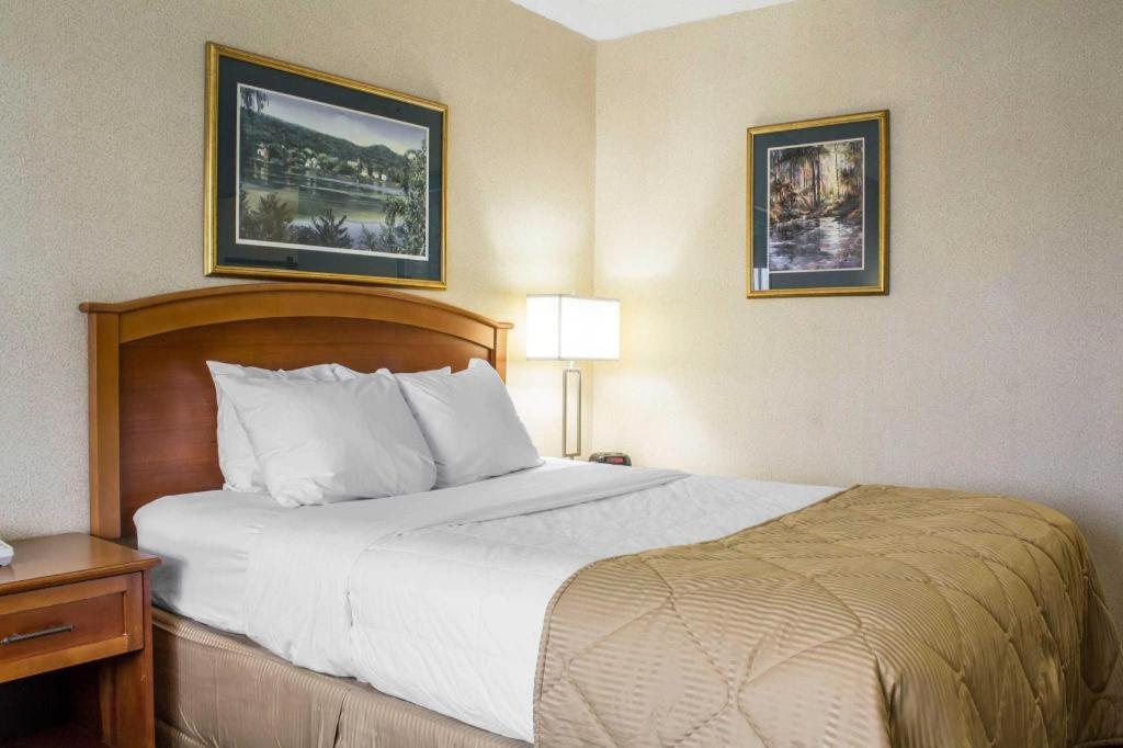 Lifestyle Inn Cedar Falls Exteriér fotografie